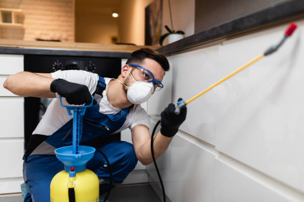 Pest Control for Restaurants in Sunset Hills, MO