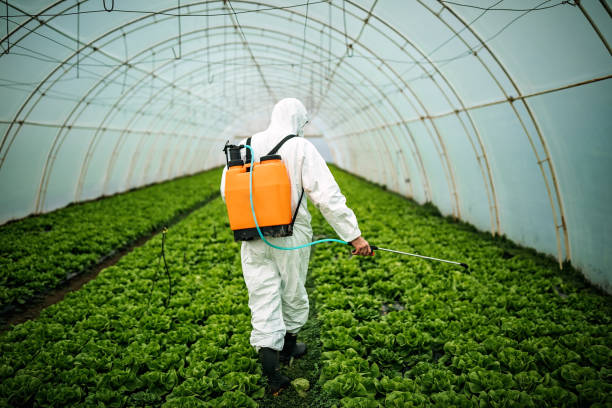 Best Pest Prevention Services  in Sunset Hills, MO